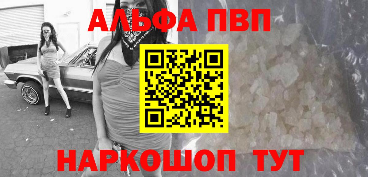 A PVP СК КРИС Каменка