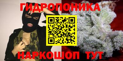 первитин Гусев