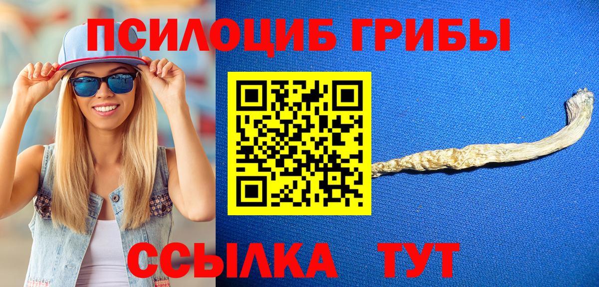 Галлюциногенные грибы ЛСД Каменка